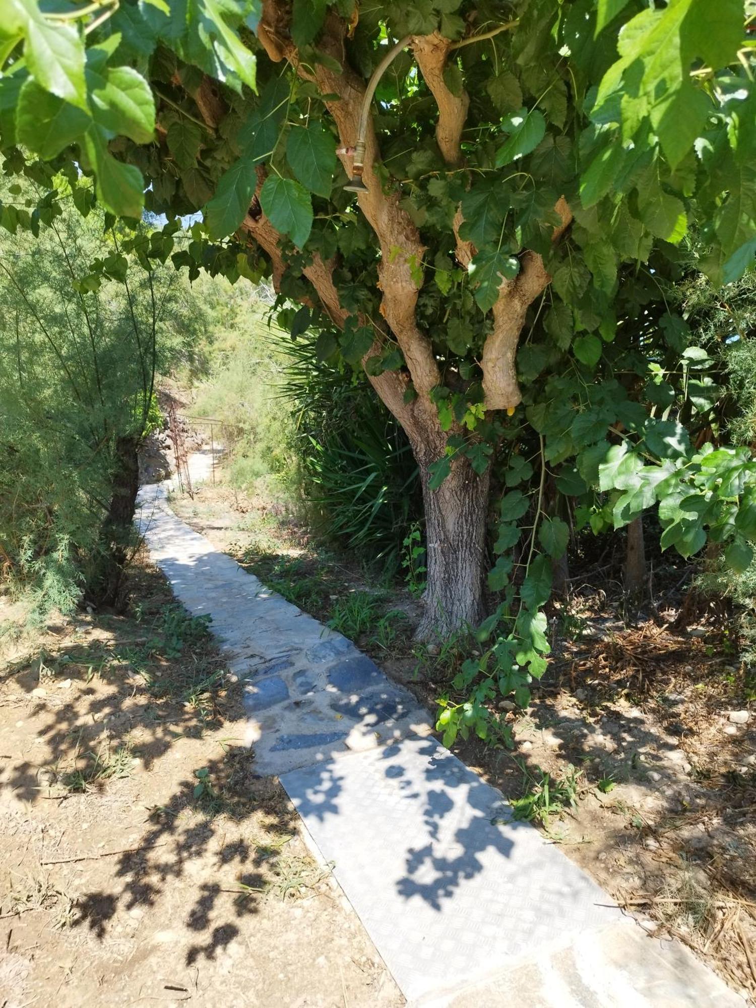 Villa Agia Aikaterini Ammoudi Exterior foto